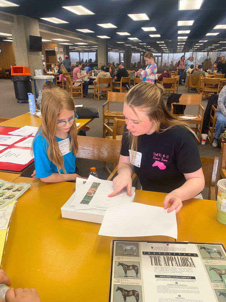 Dahinda Rogers works with a junior member of the Knox County horse team at the regional hippology contest.