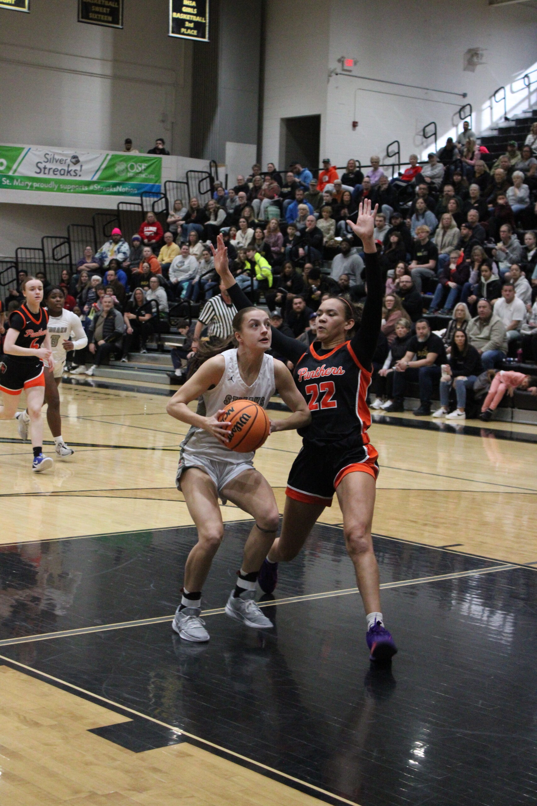 Galesburg’s Lily Furrow named IHSA All-State Academic honorable mention