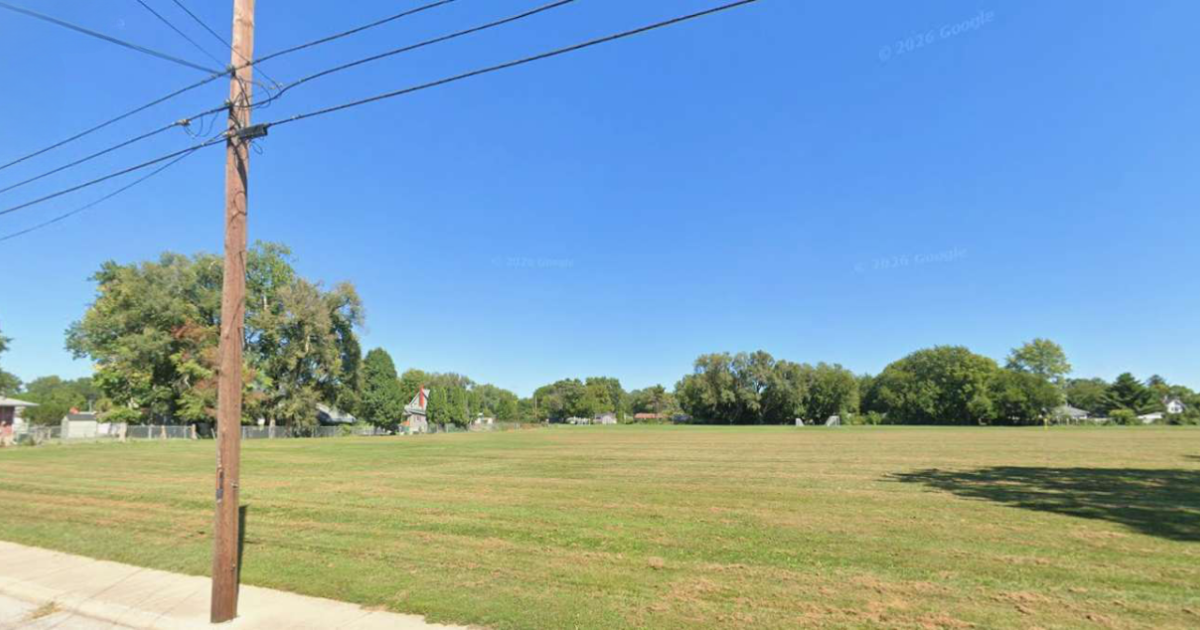 Volunteers invited to help plant trees at former Churchill fields Saturday